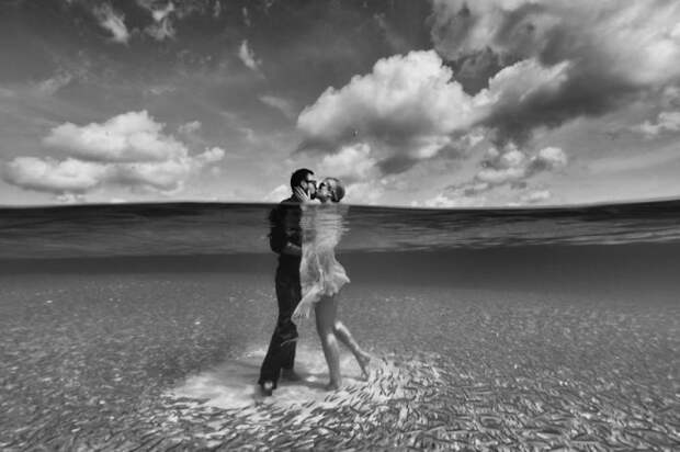 Автор фотографии: Ален Брин (Alain Brin). Автор фотографии: Ален Брин (Alain Brin).