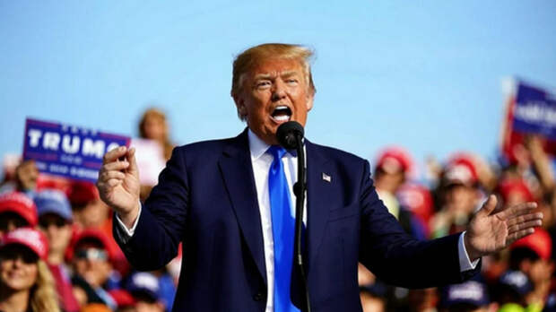 "Это безумие": Трамп резко высказался на отказ Зеленского выводить ВСУ из Донбасса