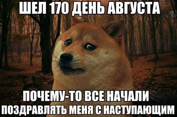 _JIIF7xvN6Y