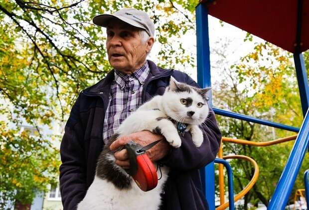 За этого кота предлагали 450 тысяч рублей За этого кота предлагали 450 тысяч рублей животные, история, кошки