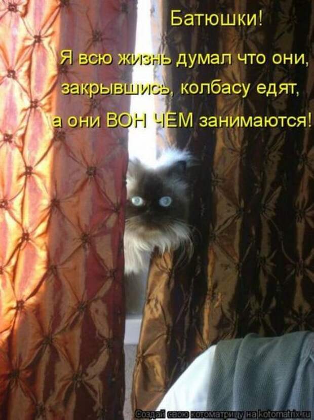 Мысли вслух :)