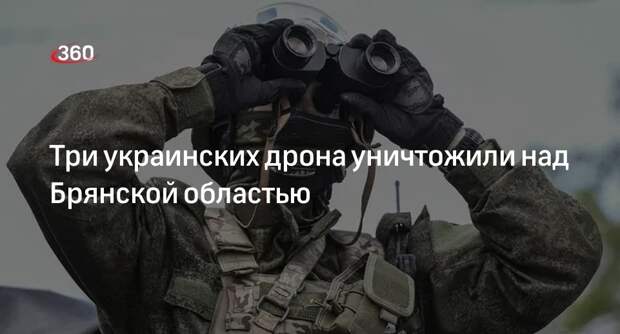 Три украинских дрона уничтожили над Брянской областью