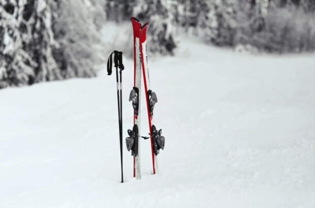 Ушел на лыжах и не вернулся: на Ладоге нашли мертвым музыканта Гайдукова