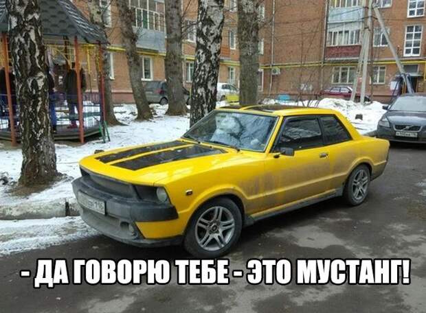 смешные картинки с надписями