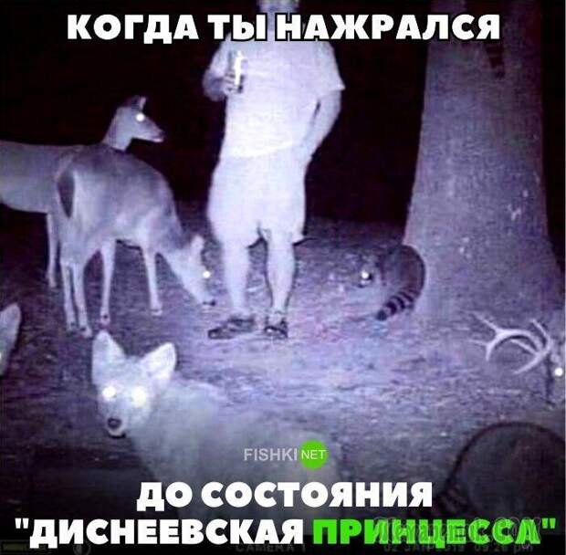 Демотиваторы для настроения