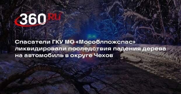 Спасатели освободили трассу в Чехове после падения дерева на автомобиль