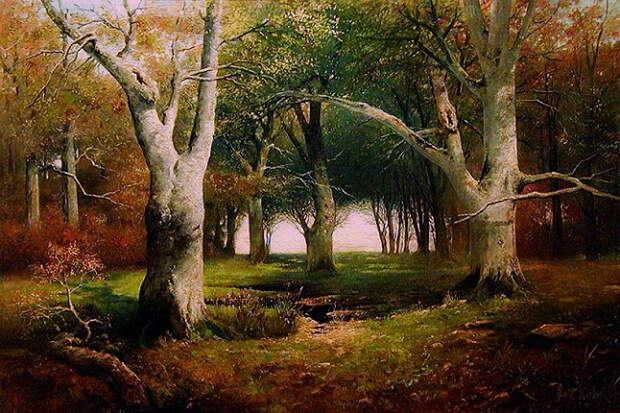 Старые деревья в лесу. 1880 (646x431, 462Kb)