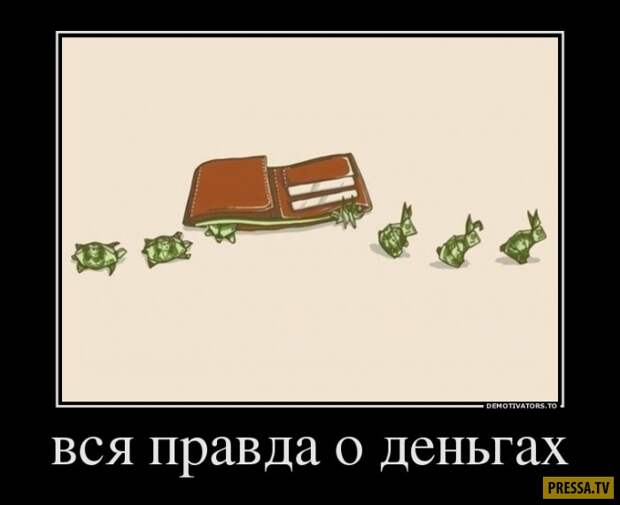 Демотиваторы (42 фото)
