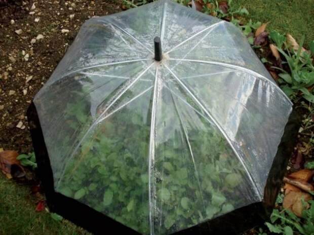 10 действительно классных идей, как использовать старый зонтик