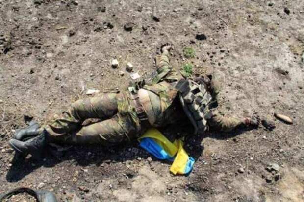 Воюющий в ВСУ наёмник-неонацист назвал украинцев «стадом свиней» и «дегенератами» — документ | Русская весна