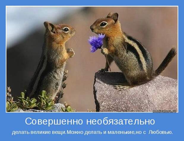 Мотиваторы позитивные про жизнь (10 фото)