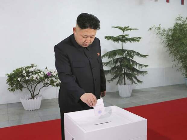 7. В стране проходят демократические выборы абсурд, вождь, кндр, лидер партии, северная корея