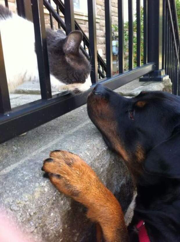 ПОДБОРКА ФОТОПРИКОЛОВ