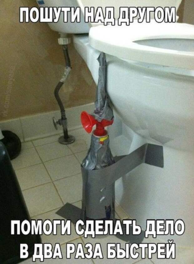 Картинки, юмор, приколы