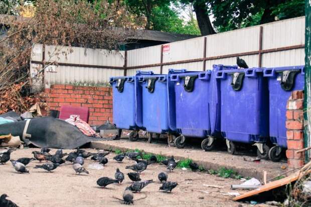 Туляки стали чаще обращаться на «Открытый регион» по поводу вывоза мусора
