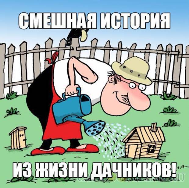 Дачная история