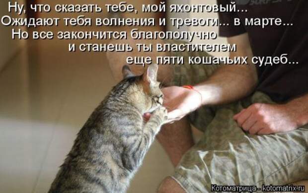 Новая котоматрица (44 шт)