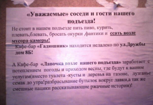 Лучшие заведения нашего двора. Лучшие заведения нашего двора.