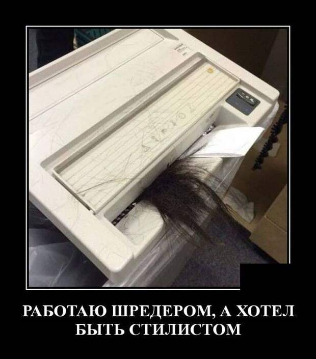 demotivatory-demotivator-smeshnye-demotivatory-demotivator-so-smyslom