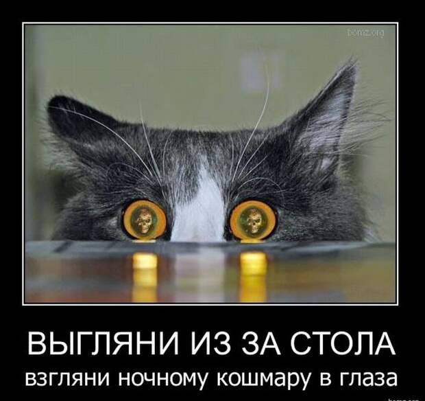 Демотиваторы