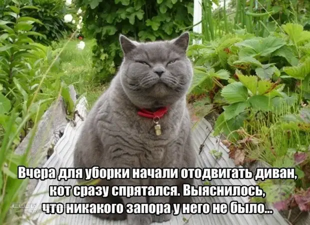 Хочется всё бросить, но не в кого Хочется всё бросить, но не в кого когда, врачом, штучку, берете, делать, одной, рукой, подносите, пятак, Каприо, оскар, Вадику, моего, подъезда, пенсионера, ктокто, Вася… Ди, точно, заслужилДля, чтобы