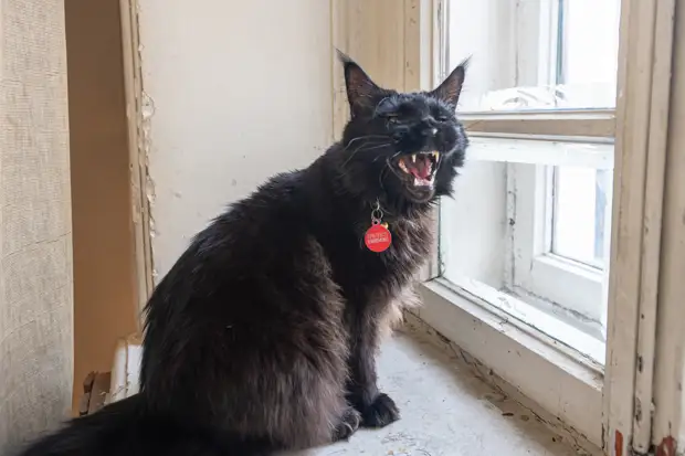 Прокуратура заставила мэрию Нижнего Тагила дать бесплатную квартиру многодетной семье