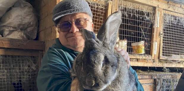 В барнаульском зоопарке рассказали, что за гигантского мясного кролика завели к новому году
