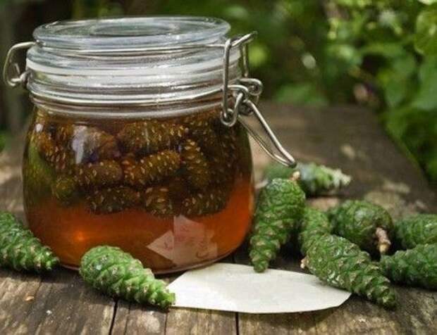 Уникальный народный рецепт! Оказывается, инсульт боится сосновых шишек! Уникальный народный рецепт! Оказывается, инсульт боится сосновых шишек!