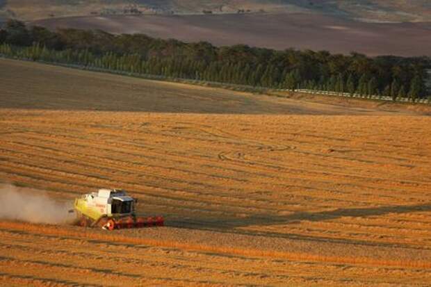 A combine harvests wheat in a field near the village of Suvorovskaya in Stavropol Region, Russia July 17, 2021. Picture taken July 17, 2021. REUTERS/Eduard Korniyenko 