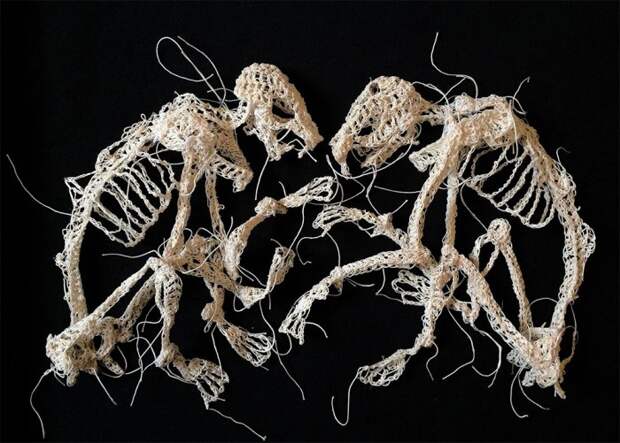 Скелеты животных, связанные крючком