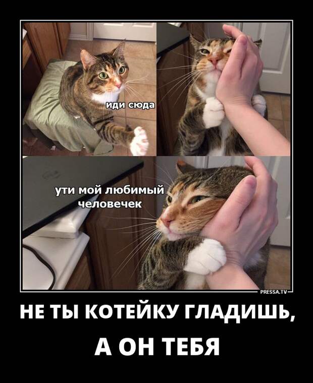 Ржачные и смешные демотиваторы для настроения (10 фото) Ржачные и смешные демотиваторы для настроения (10 фото)