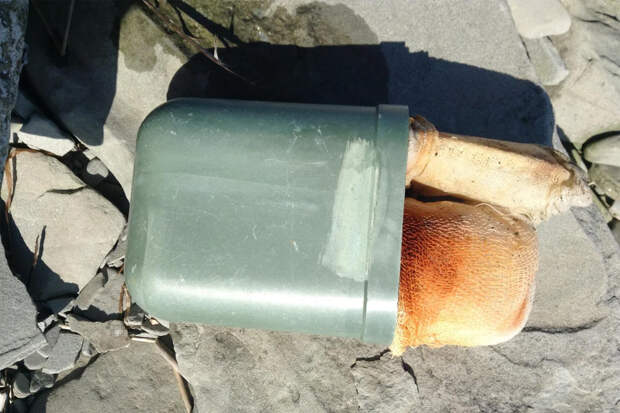 Странная находка на пляже поставила в тупик пользователей сети