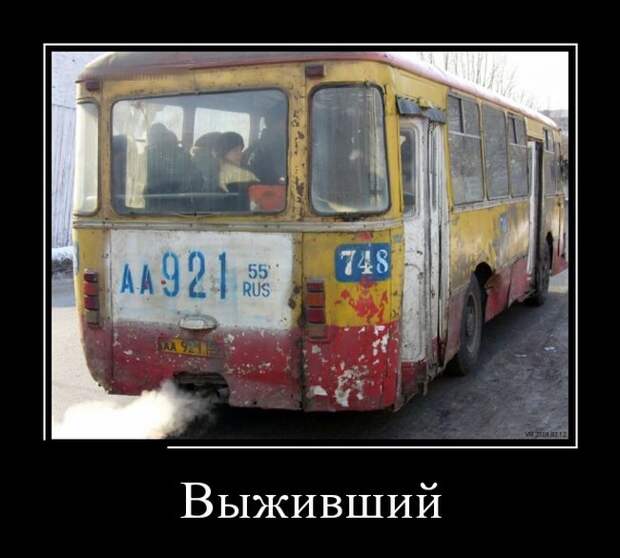 Веселые демотиваторы на вечер (11 фото) Веселые демотиваторы на вечер (11 фото)