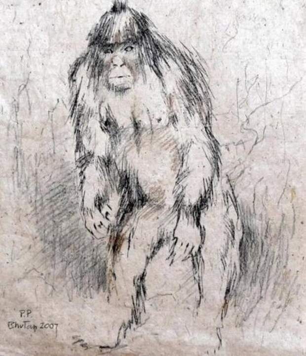 Йети живет на козацкой Хортице