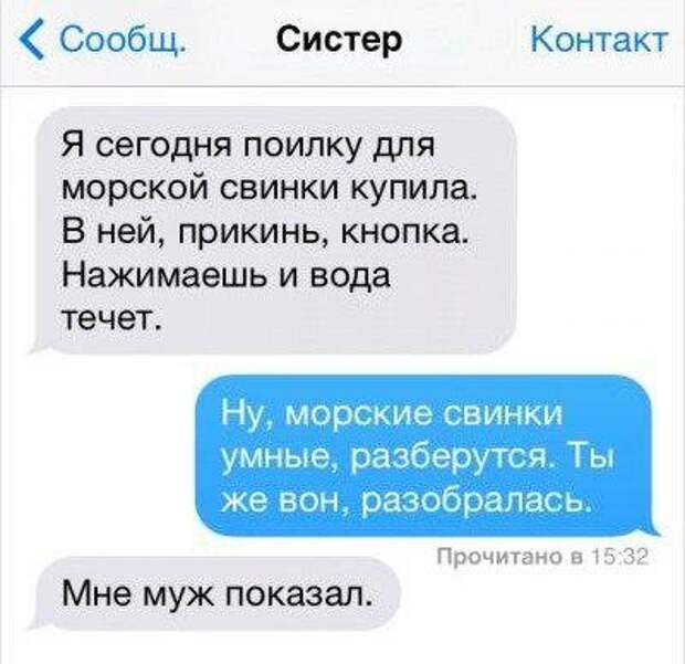 Приколы
