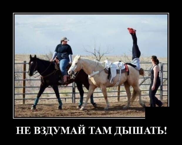 Демотиваторы (20 фото)