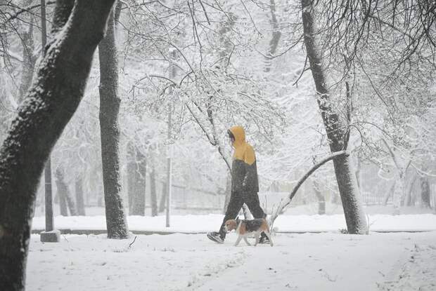В Москве за день выпала половина месячной нормы осадков