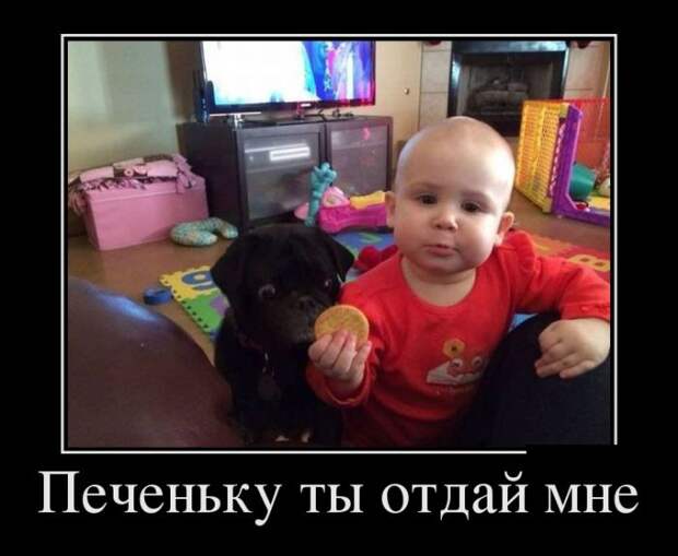Демотиваторы (30 фото)