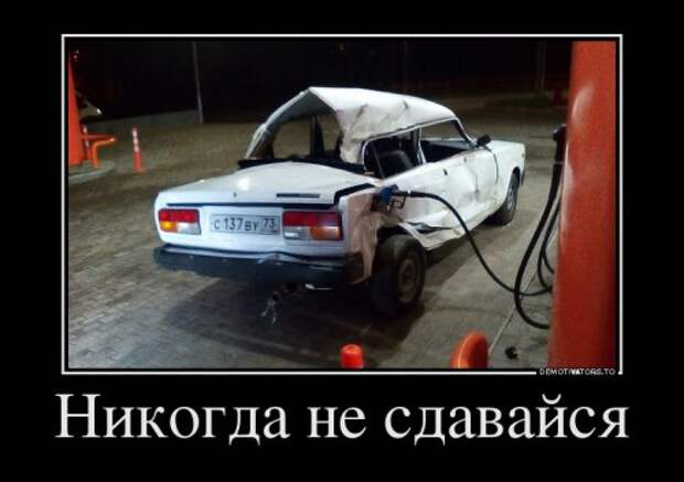 Новые демотиваторы для всех (14 шт)