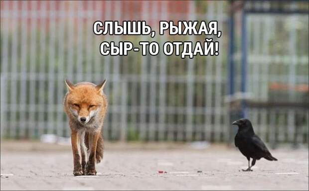 1592603778_lol-27.jpg
