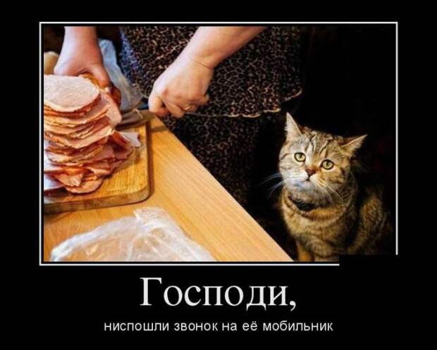 Позитивные и веселые демотиваторы для поднятия настроения (11 фото) Позитивные и веселые демотиваторы для поднятия настроения (11 фото)