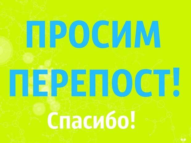 Ищем неравнодушного особенного человека для особенного котёнка, для настоящего солнечного зайчонка!