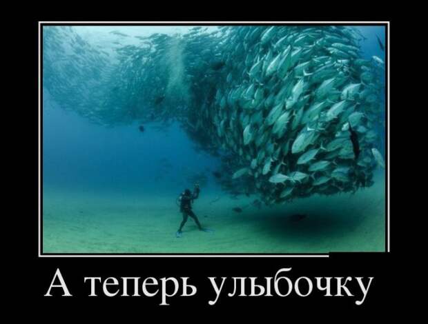 1469567804_19