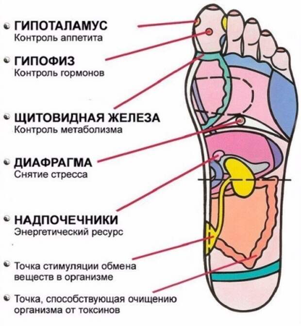 7 активных точек на стопе, которые вернут к жизни за пару минут