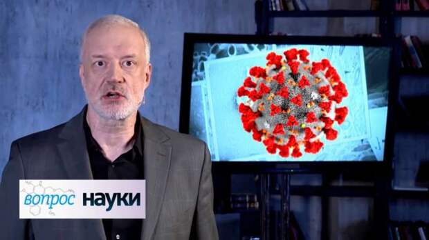 Вопрос науки. Коронавирус 2019-nCoV