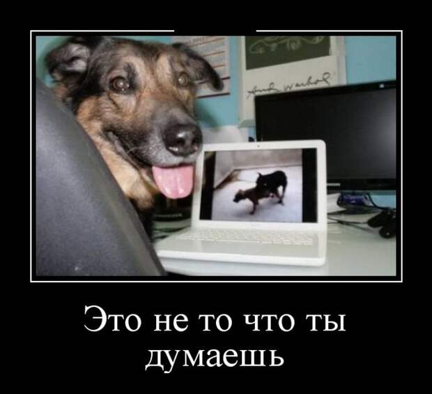 Демотиваторы (30 фото)