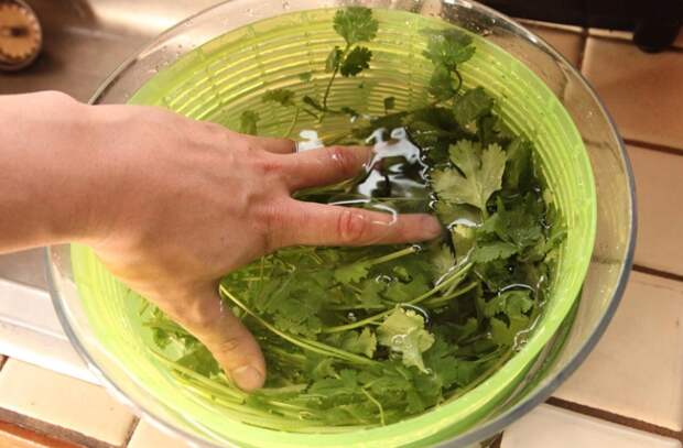 Если зелень замочить в растворе с уксусом, она дольше останется свежей. Если зелень замочить в растворе с уксусом, она дольше останется свежей.