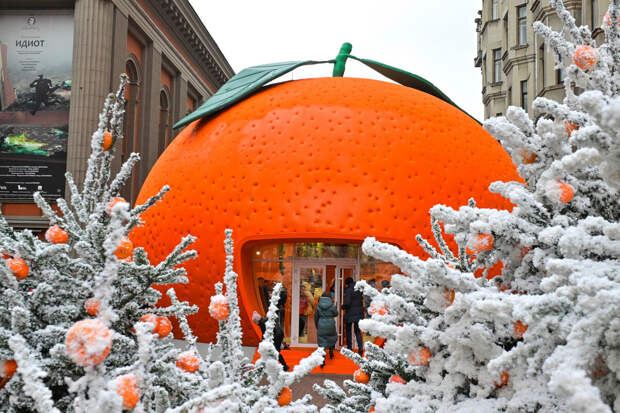Синоптик Тишковец: в Москве в пятницу ожидаются мокрый снег, ветер и до +2°C
