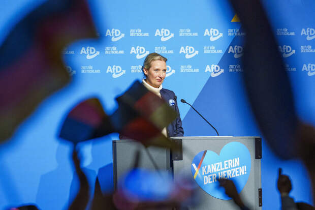 Депутат Вайдель: без участия России в Европе не будет мира