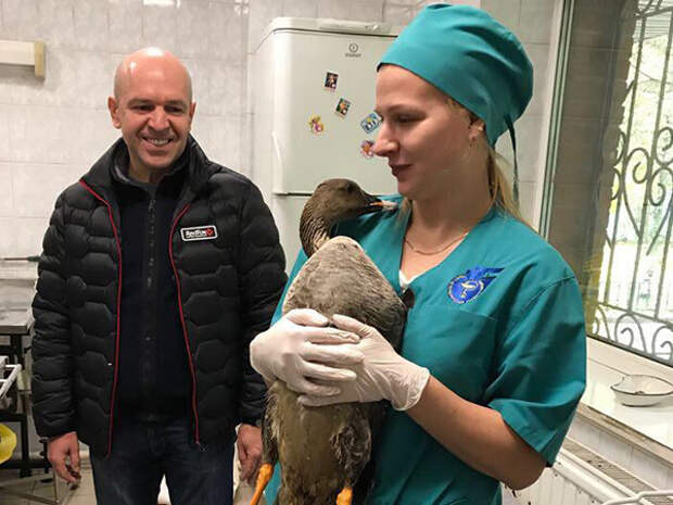 Вице-губернатор Константин Серов привез ветеринару подстреленного гуся